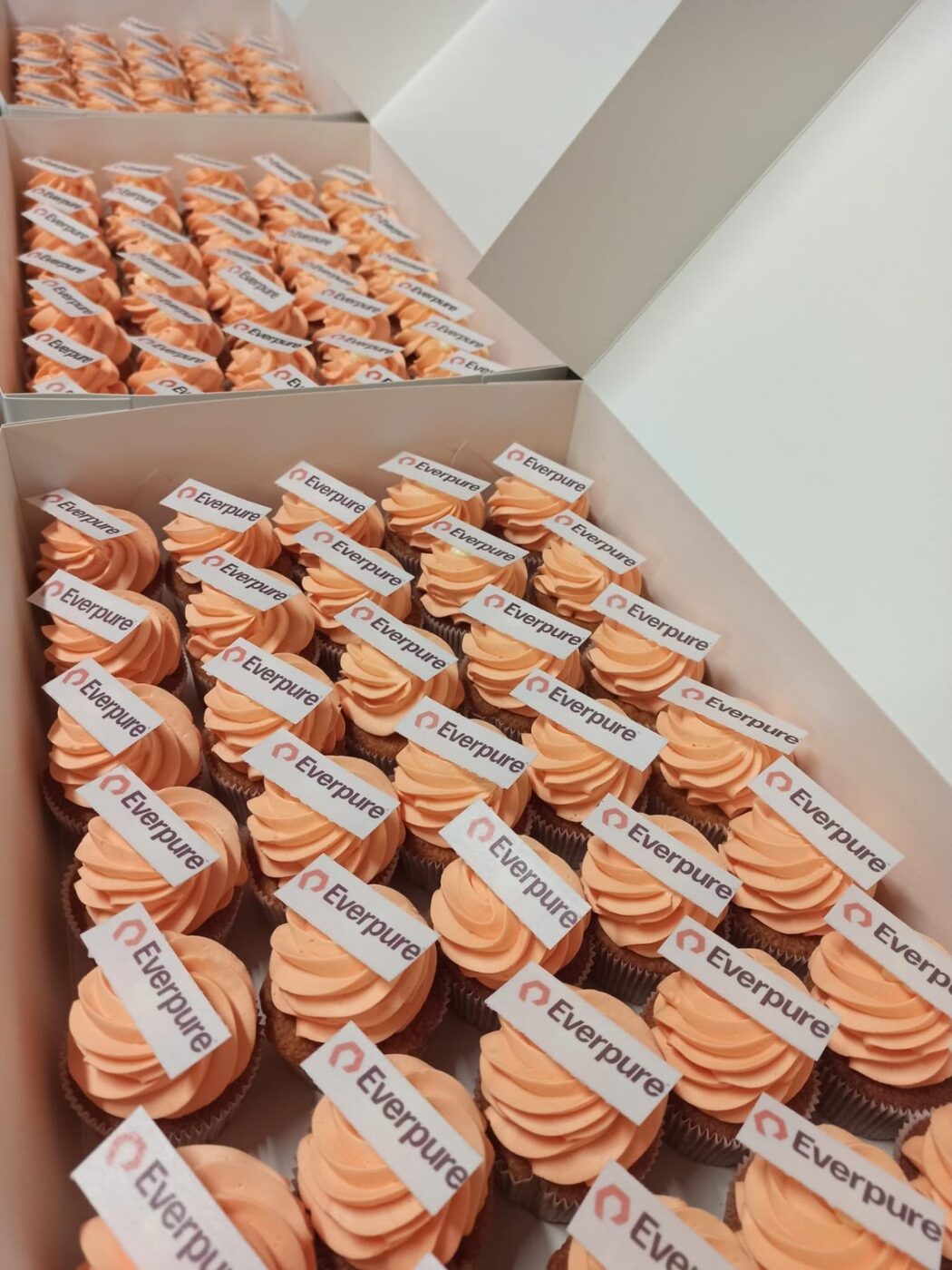 Everpure — cupcakes